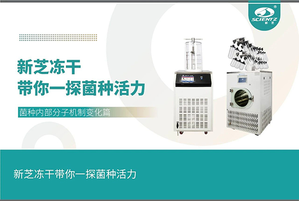 凍干機(jī)探尋菌種內(nèi)部分子機(jī)制變化