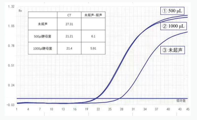 酵母菌樣本超聲破碎后前后擴增循環(huán)數(shù)對比