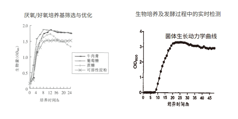 過程安全，結(jié)果精準